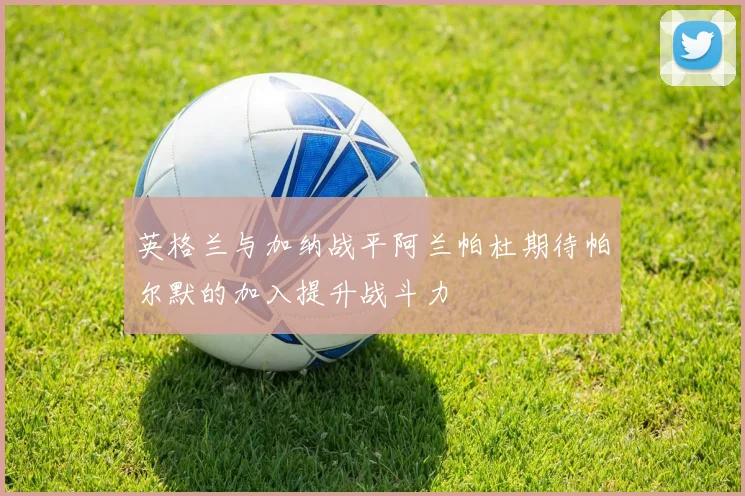 英格兰与加纳战平阿兰帕杜期待帕尔默的加入提升战斗力